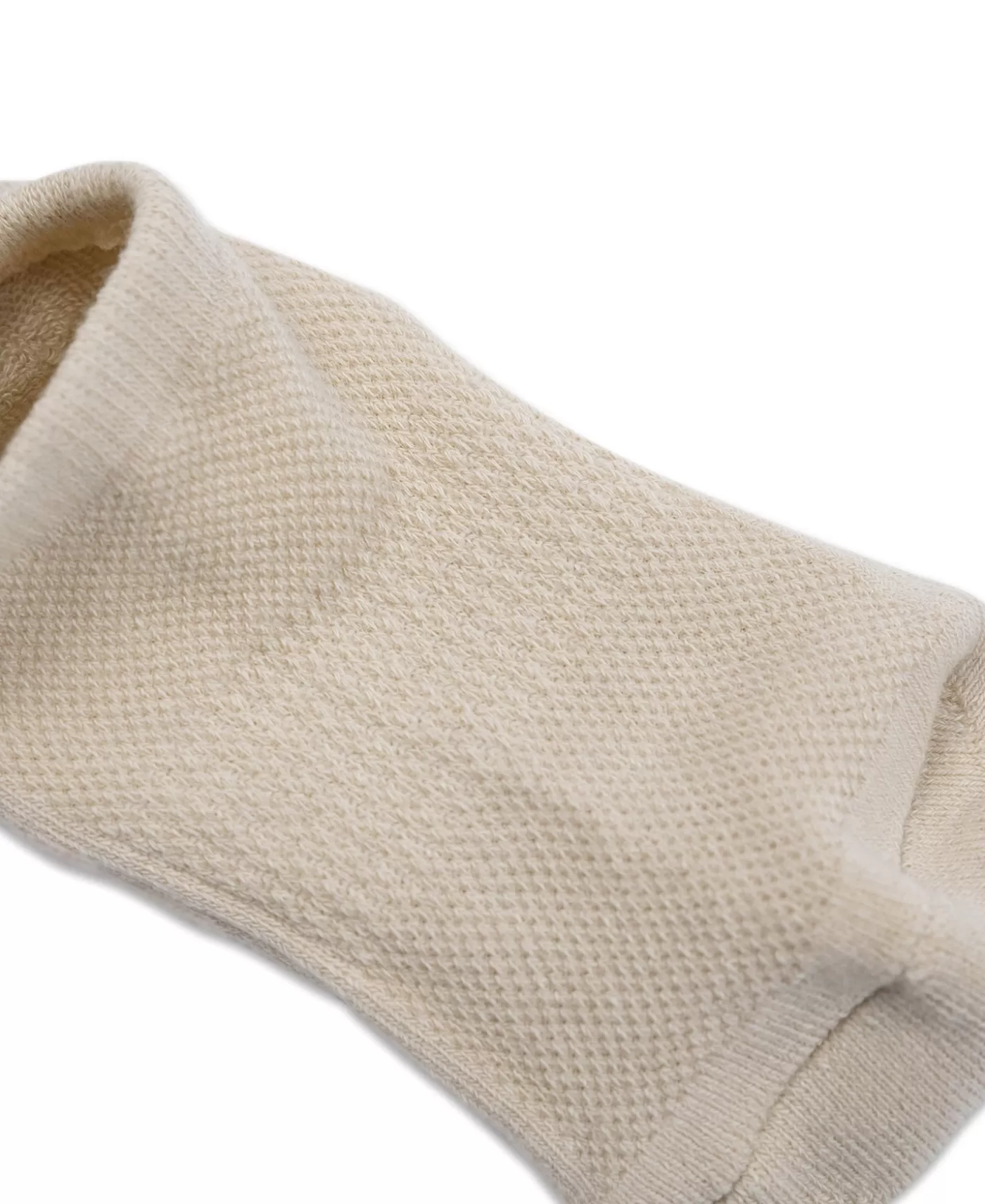 colored_cotton_no_show_socks__embryo_3.webp Sale Colored Cotton No Show Socks - Socks