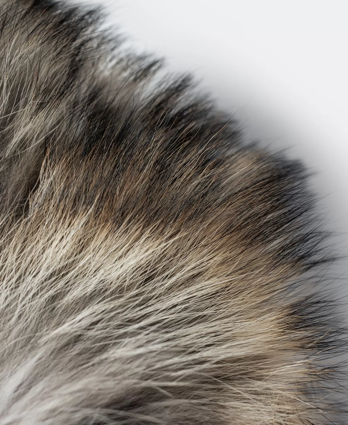 type_na_parka_9.webp Hot 1951 Type N-3A Parka Jackets & Coats